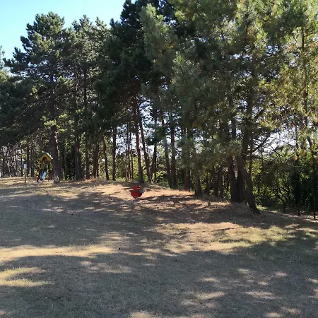 Studio 4 Personnes Agon-coutainville Appartement